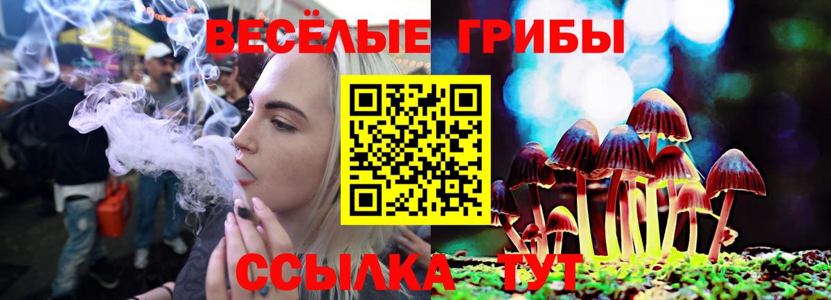 где продают   Псилоцибиновые грибы Cubensis  Вход с VPN  Чапаевск  Галлюциногенные грибы Cubensis 